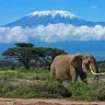 Tanzaniavisitor