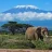 Tanzaniavisitor